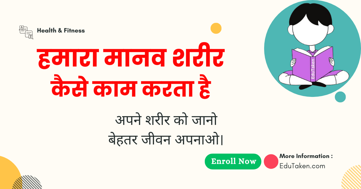 हमारा मानव शरीर कैसे काम करता है